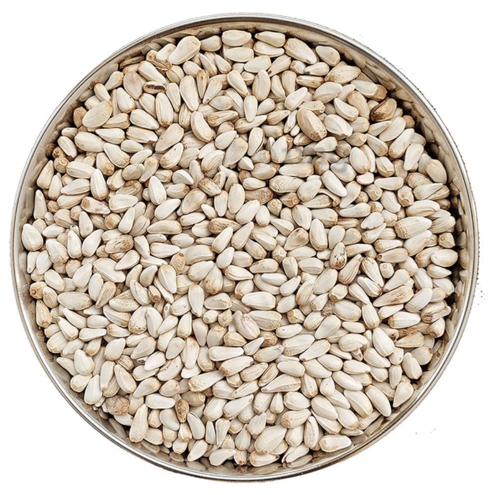 Mini Foxtail Millet